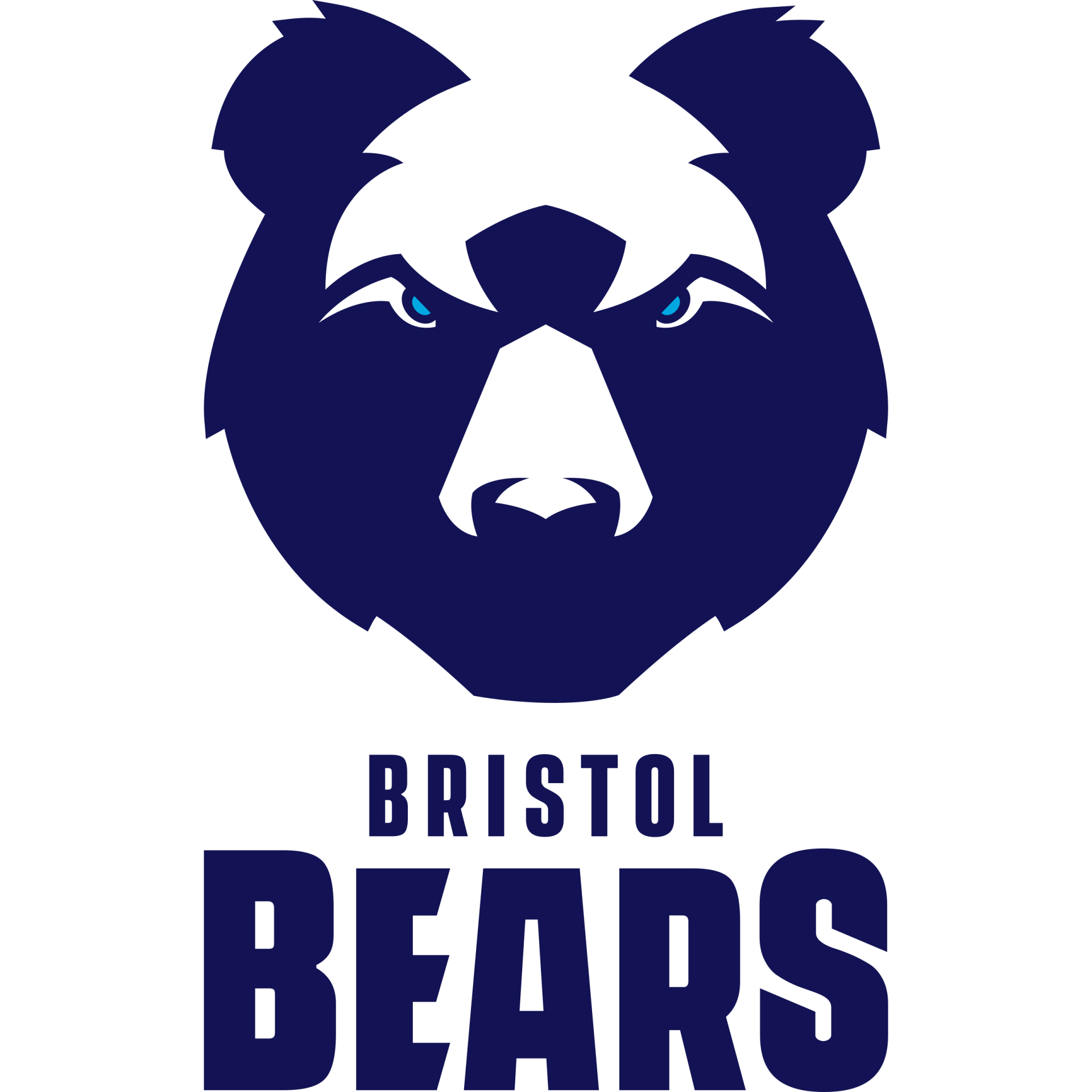 Bristol bears