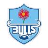 Vodacom bulls 4